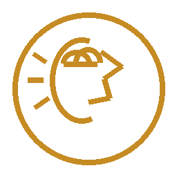 icon burnout gold
