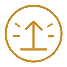 icon neustart gold